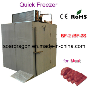 Capacity 120kg Blast Freezer for Meat (BF-2)